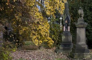 scholemoor cemetery autumn 2009 landscape sm.jpg